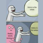 delulu